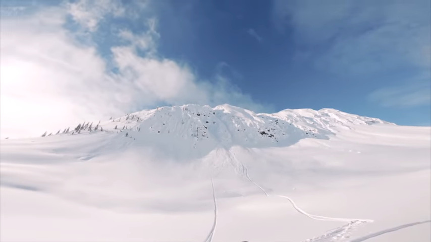 Faction Collective POV Series #1